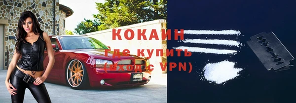 сатива Кинешма