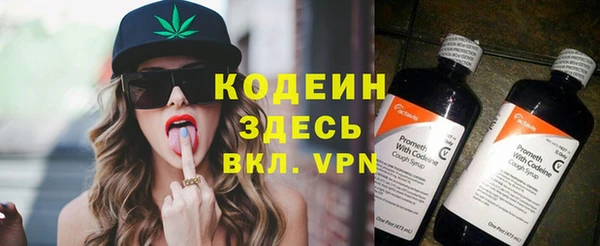 сатива Кинешма