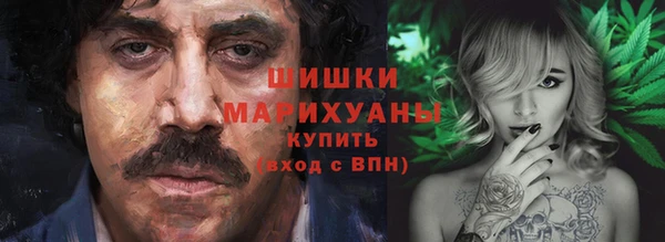 сатива Кинешма