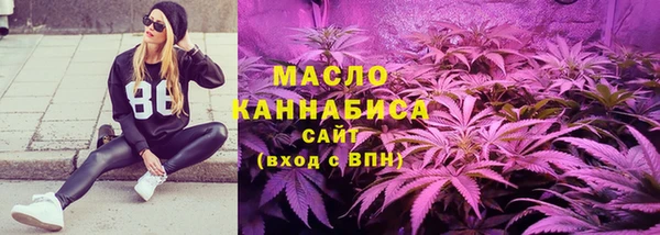 сатива Кинешма