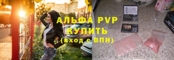 сатива Кинешма