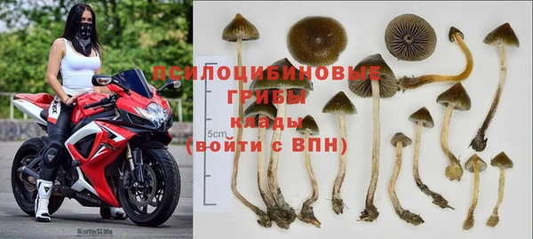 сатива Кинешма