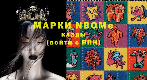 сатива Кинешма