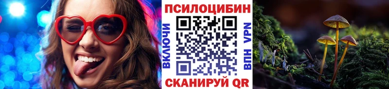 Галлюциногенные грибы Cubensis  Купить где  Цоци-Юрт 
