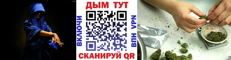 Канабис семена  Купить где  Цоци-Юрт 